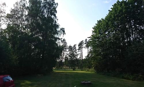een veld met bomen en een auto die erin geparkeerd staat bij Mysig villa i naturen in Glimåkra