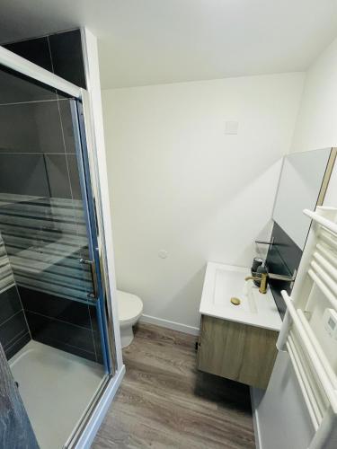 une salle de bain avec une douche, un lavabo et des toilettes dans l'établissement Studio 2 spacieux et lumineux à la gare de Lorient, à Lorient
