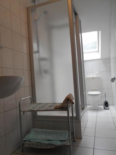 a bathroom with a shower and a sink and a toilet at Wohnung Feuerberg mit Südbalkon in Ediger-Eller