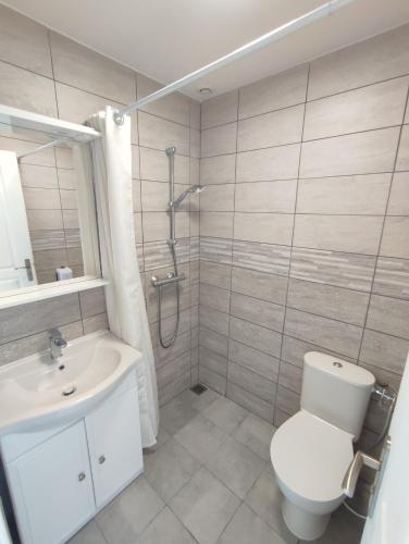 une salle de bain avec toilettes, lavabo et douche dans l'établissement Les Gîtes KARMA, à Andres