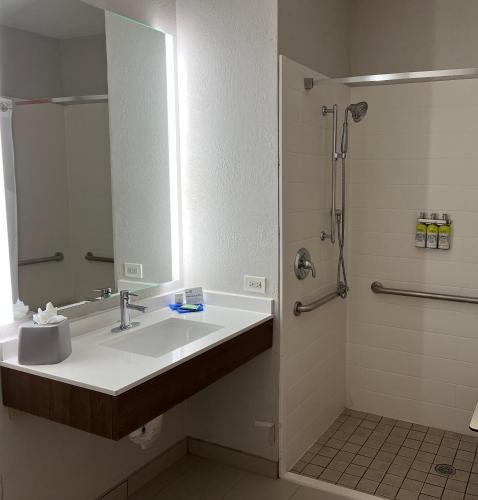 a bathroom with a sink and a shower at Holiday Inn Express Hotel & Suites Waukegan/Gurnee by IHG in Waukegan