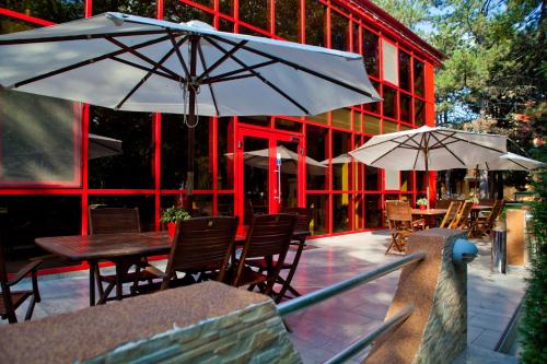 Gallery image of Hotel Dana in Amara