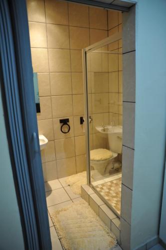 Bilik mandi di The Norwegian Lodge