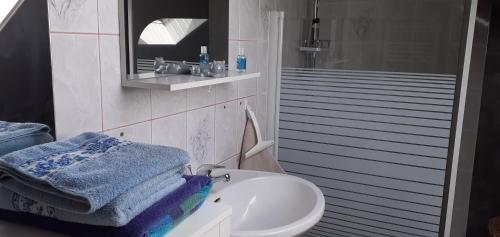 Ruaudin的住宿－Chambres d'hôtes pour 24 heures du Mans , Le Mans classic , Grand prix，一间带水槽、卫生间和镜子的浴室