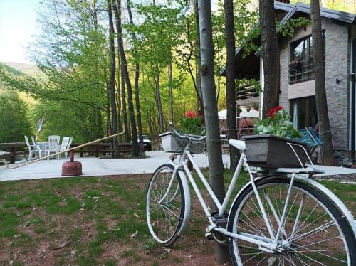 a bike parked next to a tree in front of a house at Vila KTM Lisine in Despotovac