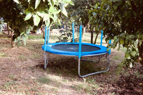 a blue chair sitting in the grass under a tree at Montebello Inn apartments in Ulcinj