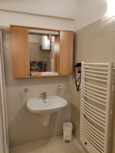 bagno con lavandino e specchio di Doss della Pesa Apartment - CIPAT 22114 a Marilleva