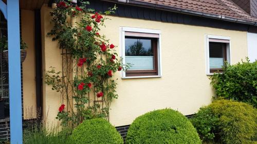 Κήπος έξω από το Ferienwohnung in Gartenlandschaft