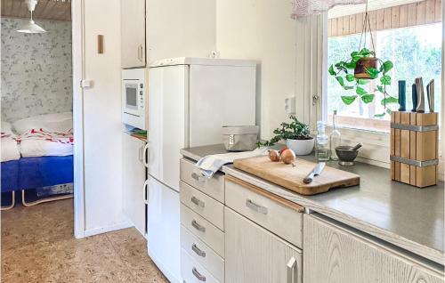 1 Bedroom Amazing Home In Markarydにあるキッチンまたは簡易キッチン