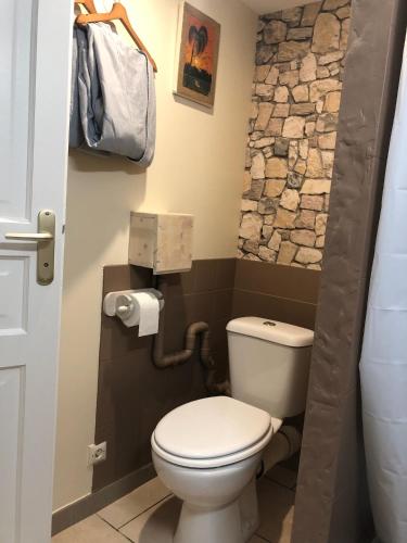 La salle de bains est pourvue de toilettes et d'un mur en pierre. dans l'établissement les Quatre Vents, à Bragny-sur-Saône