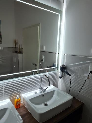 a bathroom with a sink and a large mirror at Haus DeMa in Walkenried