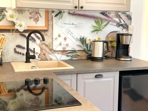 a kitchen with a sink and a counter top at Hofgut Bisdamitz - Ferienhaus "Knoff" in Bisdamitz