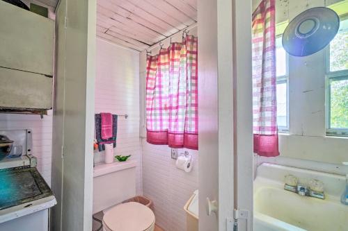 a bathroom with a toilet and a tub and a sink at Historic Sparta Home Near Waterfalls and Hikes! in Sparta