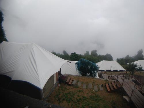 a group of tents in a field with clouds in the background at The Bugyal in Kanatal