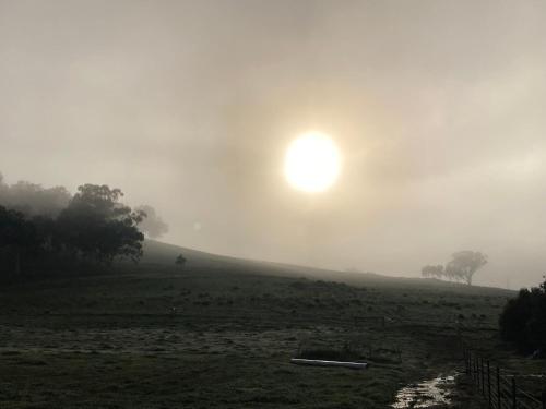 a foggy field with the sun in the background at Sandalwood Downs Fabulous Farm Stay TOODYAY in Toodyay