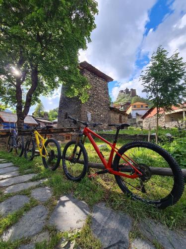 Fotografie z fotogalerie ubytování Guesthouse Tushetian Tower v destinaci Omalo