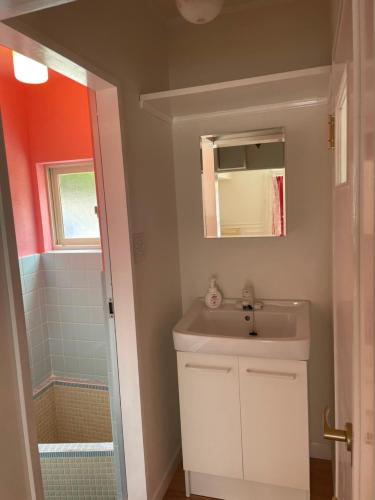 a bathroom with a sink and a mirror and a shower at SASAKOJIMA cottage in Kure