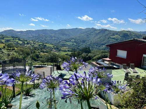 a bunch of purple flowers in front of a mountain at Oviedo Real Spa in Oviedo