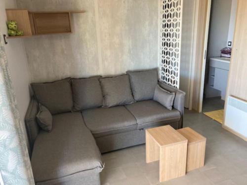聖拉斐爾的住宿－Camping L'ILE D'OR，带沙发和咖啡桌的客厅