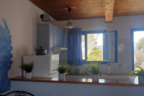 TzíkidhesにあるPerivola's Houseのキッチン(白い冷蔵庫付)、窓