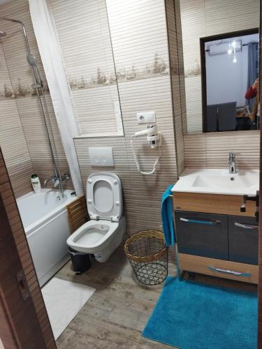 Vonios kambarys apgyvendinimo įstaigoje Apartament Gabriela