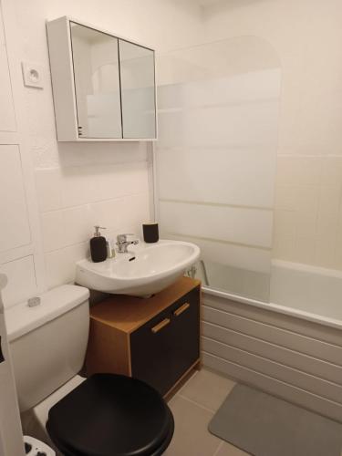 une salle de bain avec un lavabo, des toilettes et un miroir dans l'établissement Charmant studio avec balcon, 1 pièce, 4 personnes, à Uvernet