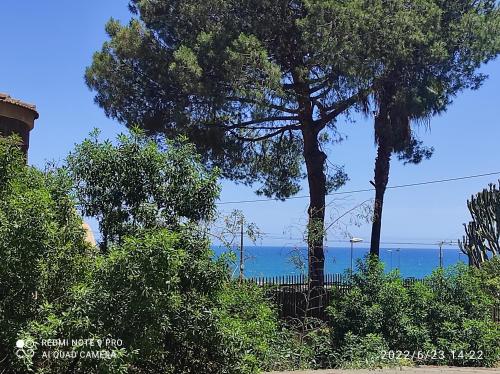 a view of the ocean from behind some trees at Suites 5* Lahcene in Alicante