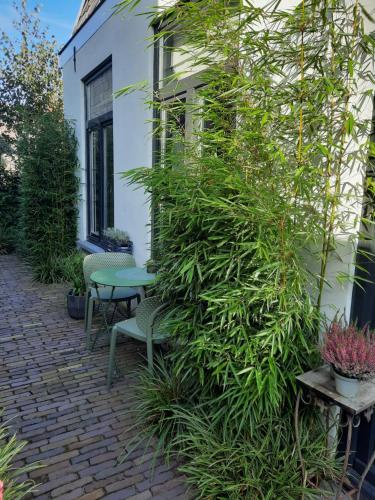 a large green plant growing next to a building at Inn the Green in Zeist