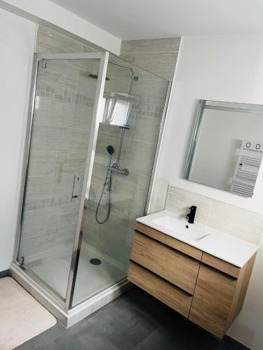 une salle de bain avec douche et lavabo dans l'établissement La maison des hirondelles, à Berck-sur-Mer