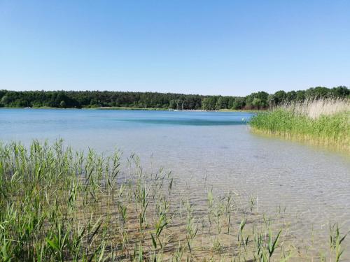 a large body of water with trees in the background at Domek Na Winklu in Skrzynka