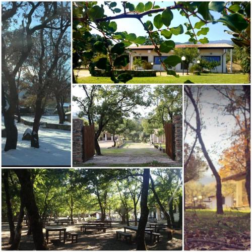 a collage of photos of a park with trees at AGRI ART in San Benedetto Ullano
