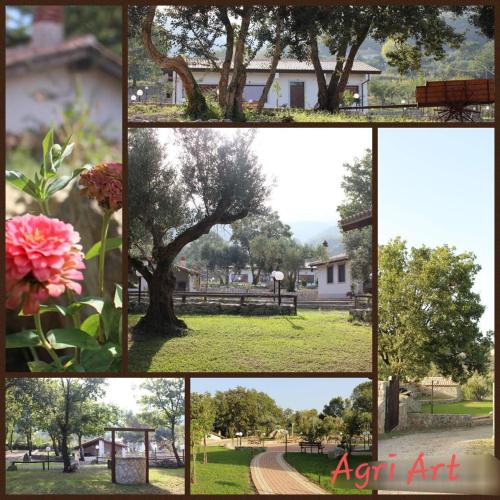 a collage of photos of a park with a tree at AGRI ART in San Benedetto Ullano