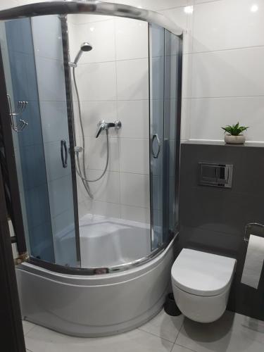 y baño con ducha y aseo. en Apartament Mario, en Kolno