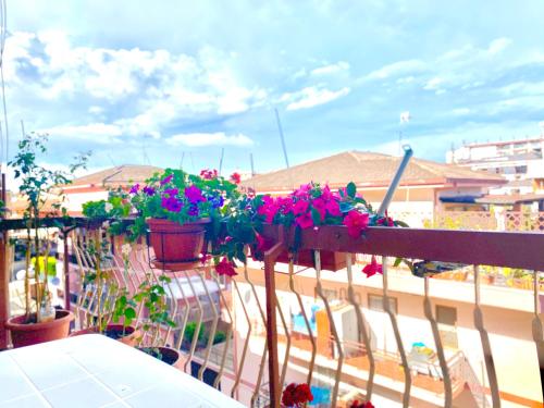 a balcony with potted flowers on the railing at Oasi di Serenità in Marino