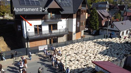 Photo de la galerie de l'établissement Apartamenty Szalaya 29, à Szczawnica