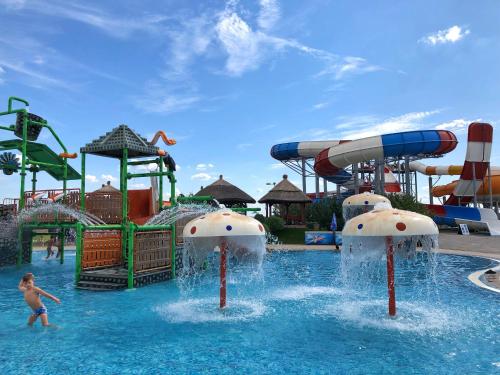 a boy is playing in a water park at S Club Resort Hotel Aqua Park and Spa in Belgrade