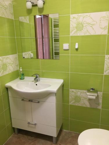 Baño verde con lavabo y espejo en Chalupa a apartmány Morajda, en Moravská Nová Ves