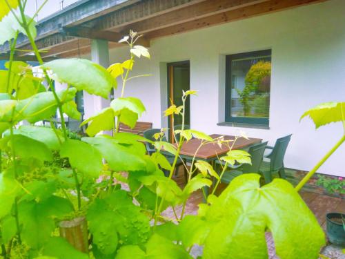 Ein Garten an der Unterkunft Appartement Birgla