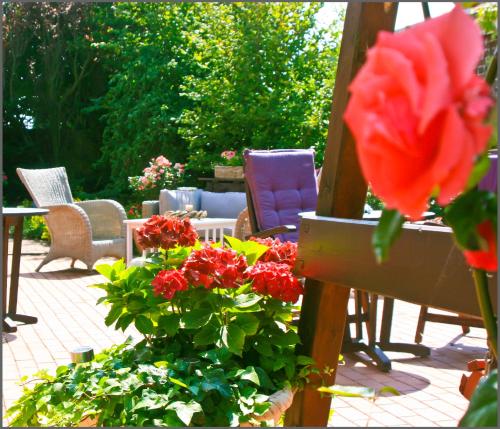 a bunch of flowers in a pot on a patio at Landhaus Krabbe von Greetsiel in Greetsiel