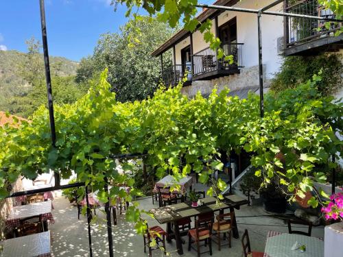 an outdoor patio with tables and chairs and vines at Ambelikos Traditional Agrohotel in Potamitissa