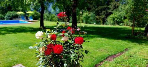 a bouquet of red roses in a yard at Gailtaler Apartments Alinkhof in Bach