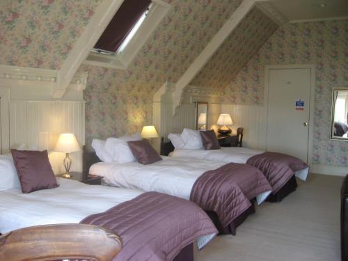 ダンディーにあるShaftesbury Hotel Dundeeのベッドルーム(紫のシーツを使用したベッド3台付)