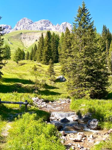 a creek in a field with trees and mountains at Piccolo Nido Falcade in Falcade