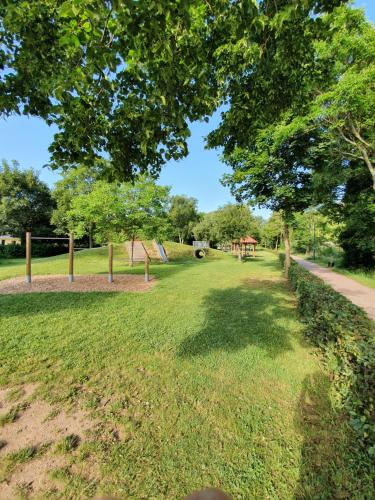 a park with a tree and a path at Alte Goldschmiede Südpfalz in Klingenmünster
