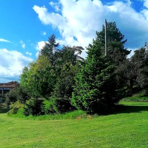 a green field with trees and a telephone pole at Mas Cal Sastre in Sant Hilari Sacalm