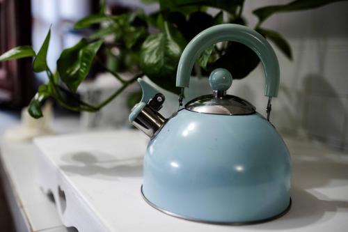 uma chaleira de chá azul sentada num lavatório ao lado de uma planta em Villa Ida Bed & Breakfast em Terracina