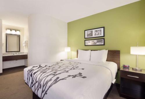 ロアノークにあるSleep Inn Tanglewoodのベッドと鏡が備わるホテルルーム