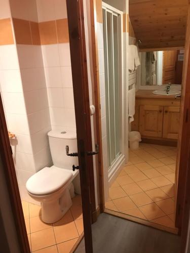 een badkamer met toilet en wastafel bij Appartement Montana 8 in Pralognan-la-Vanoise