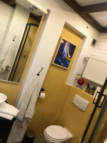 a small bathroom with a toilet and a window at Studio Korona in Mrągowo