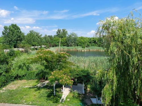 Φωτογραφία από το άλμπουμ του Vila de pe Lac Amara σε Amara